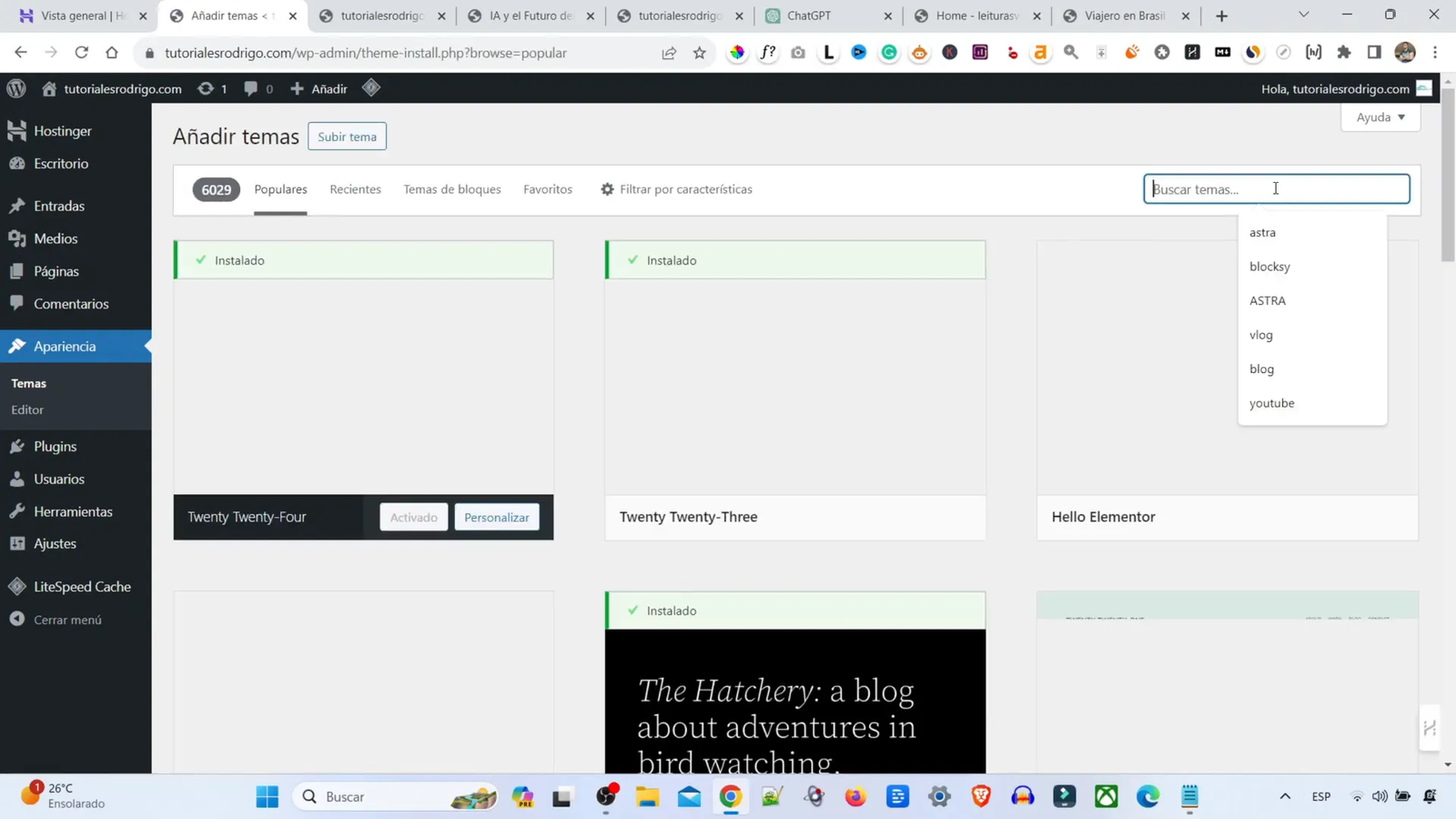 Personalizando el tema del sitio web