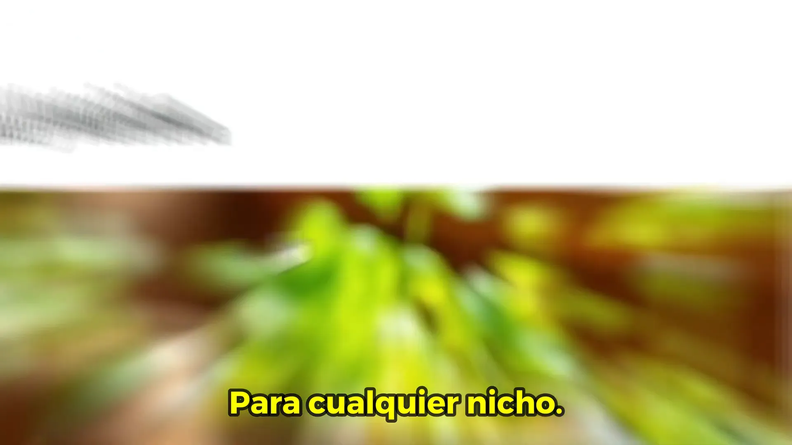 Objetivos de la serie