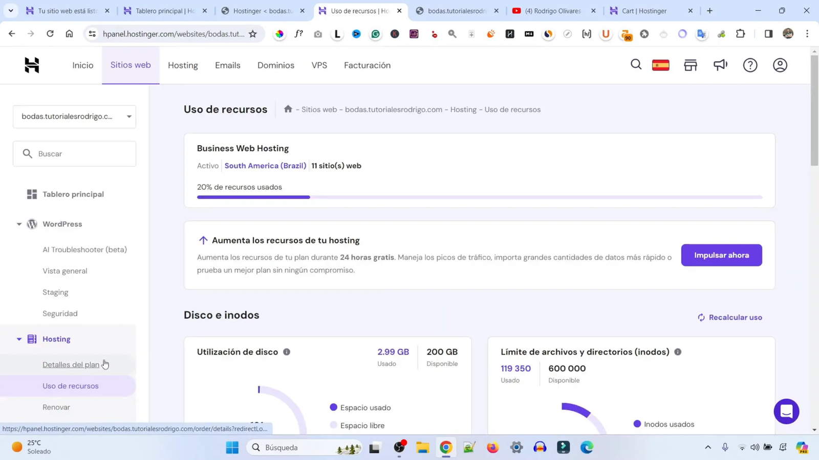 Detalles técnicos del plan de hosting