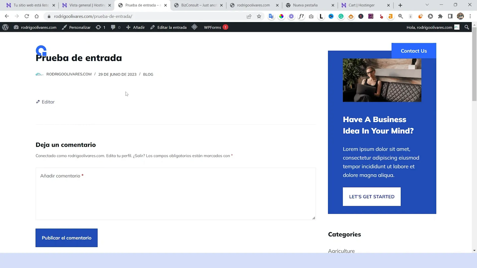 Editor de entradas en WordPress