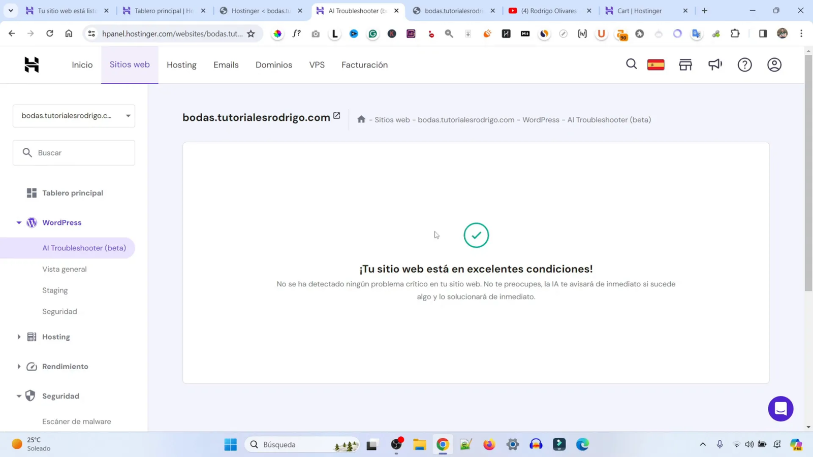 Verificación de problemas de WordPress