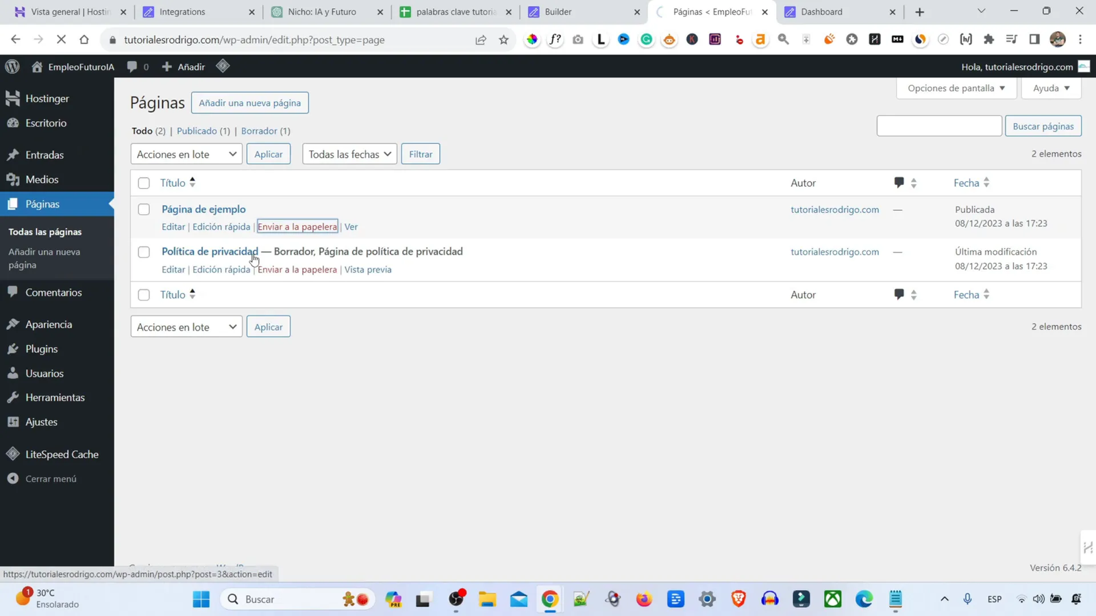 Analizando el rendimiento del sitio web