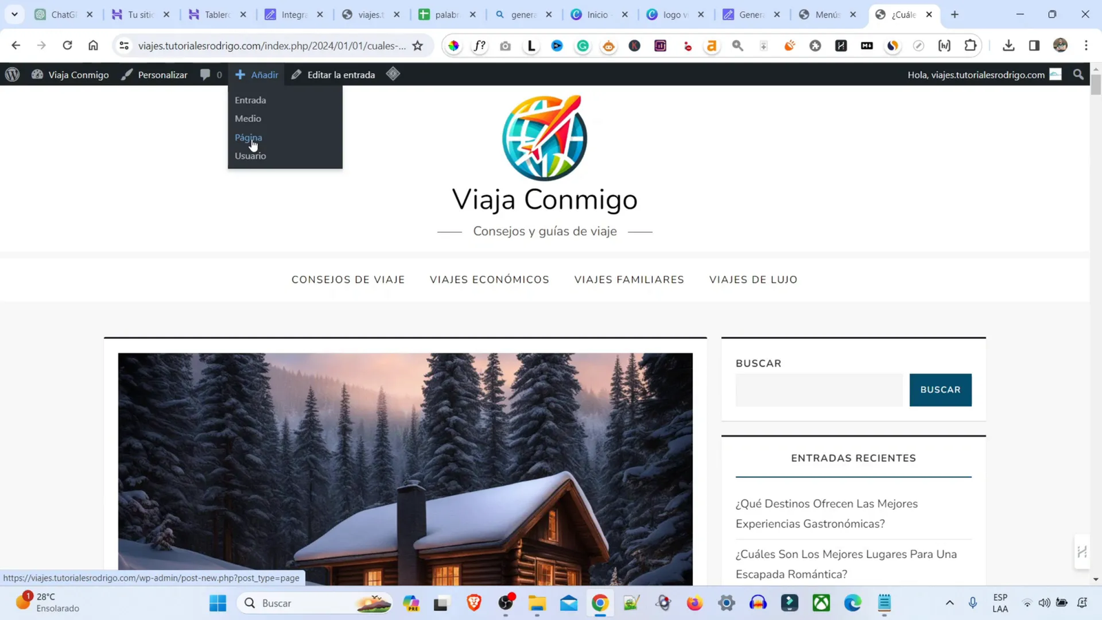 Cómo Hacer una Web Nicho: Guía Completa para Crear Tu Sitio de Viajes 7 Pantalla de configuración de SEO en WordPress