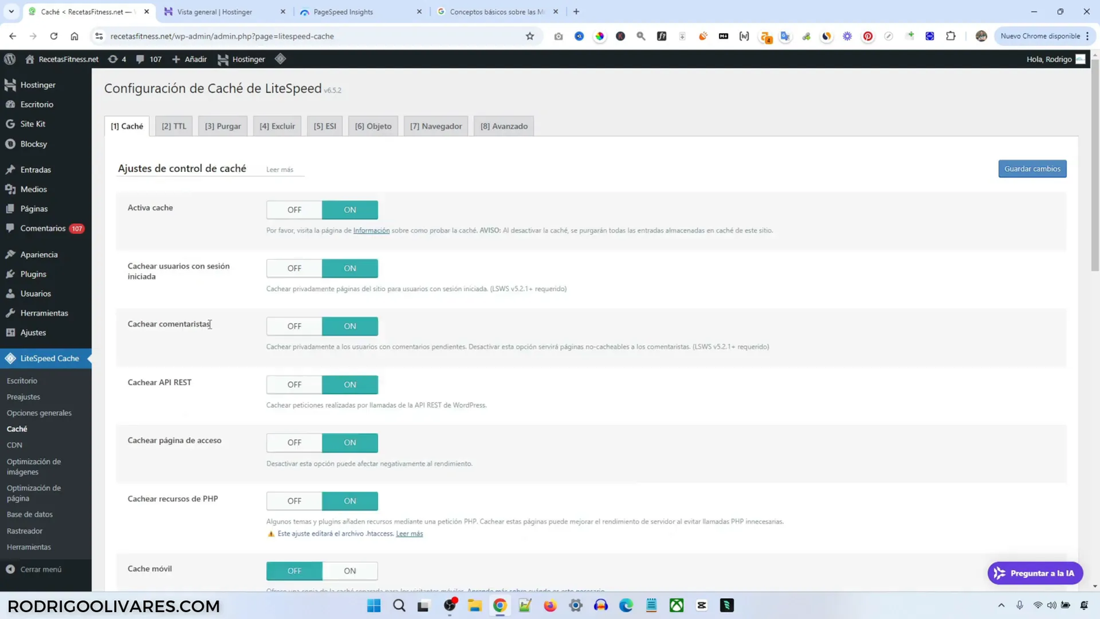 Opciones de optimización de página en LiteSpeed Cache