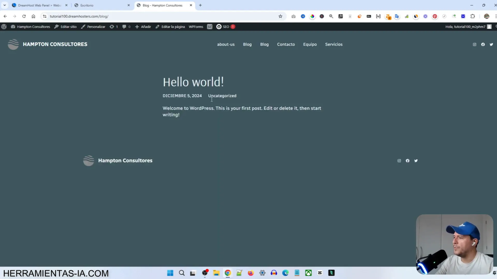 Visualización del sitio web en WordPress