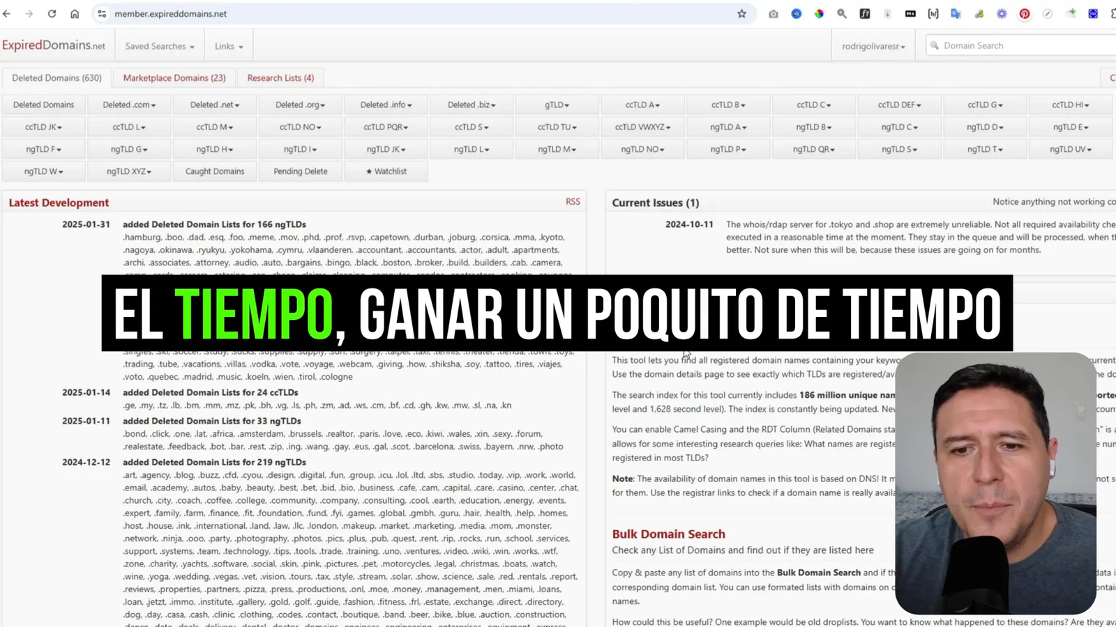 Encuentra Nichos Rentables para tu Web con Dominios Expirados