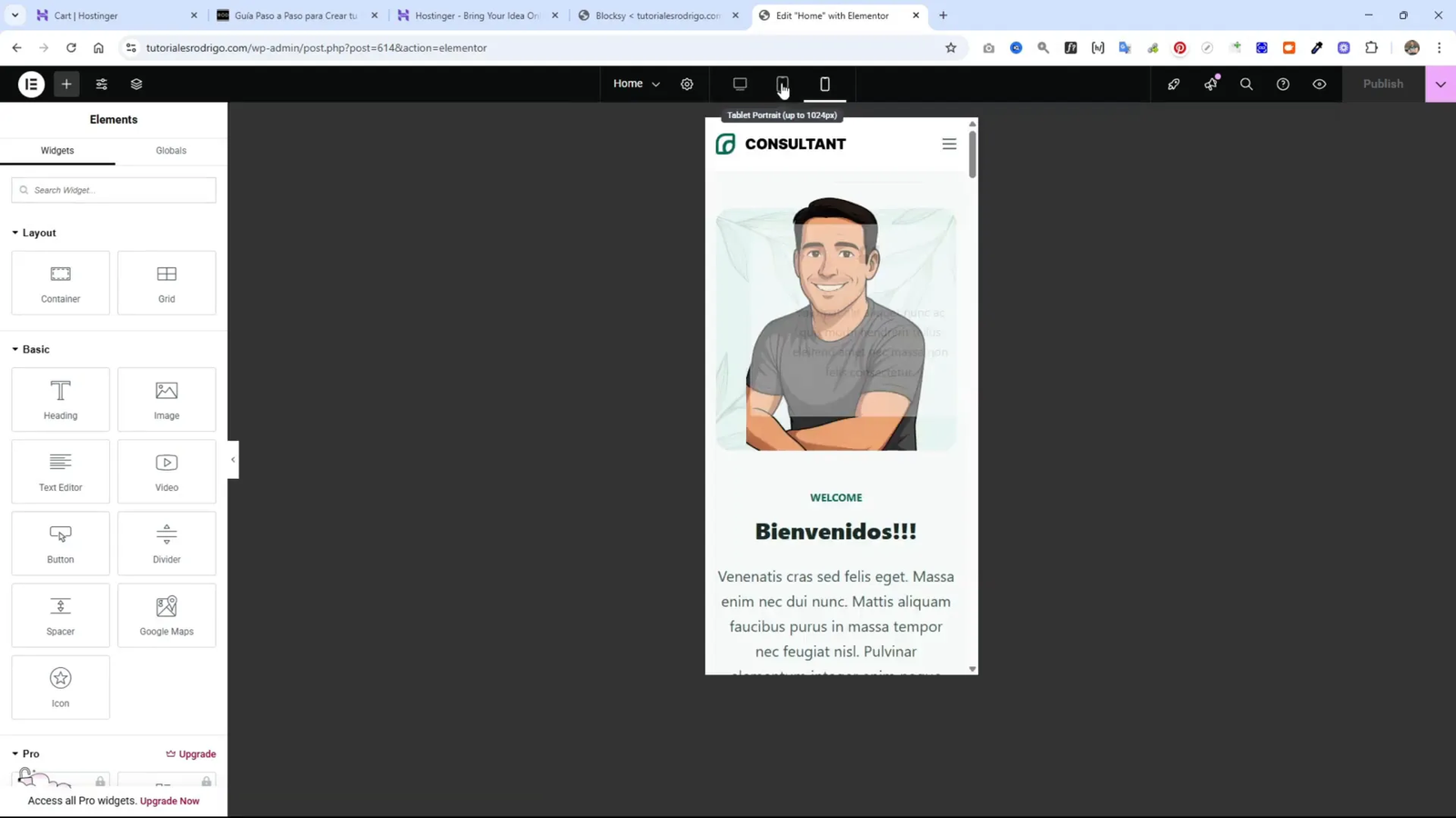Vista previa móvil en Elementor para diseño responsive
