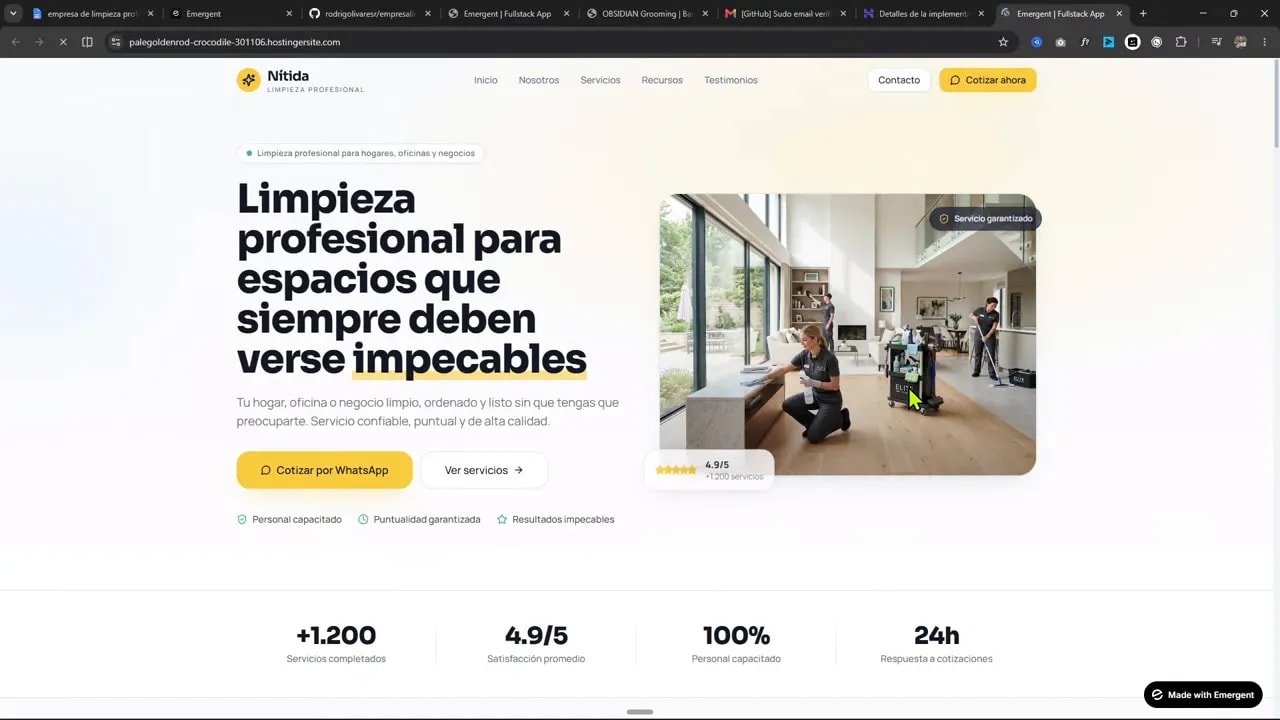 Web de limpieza publicada con titular grande e imagen en un dominio activo