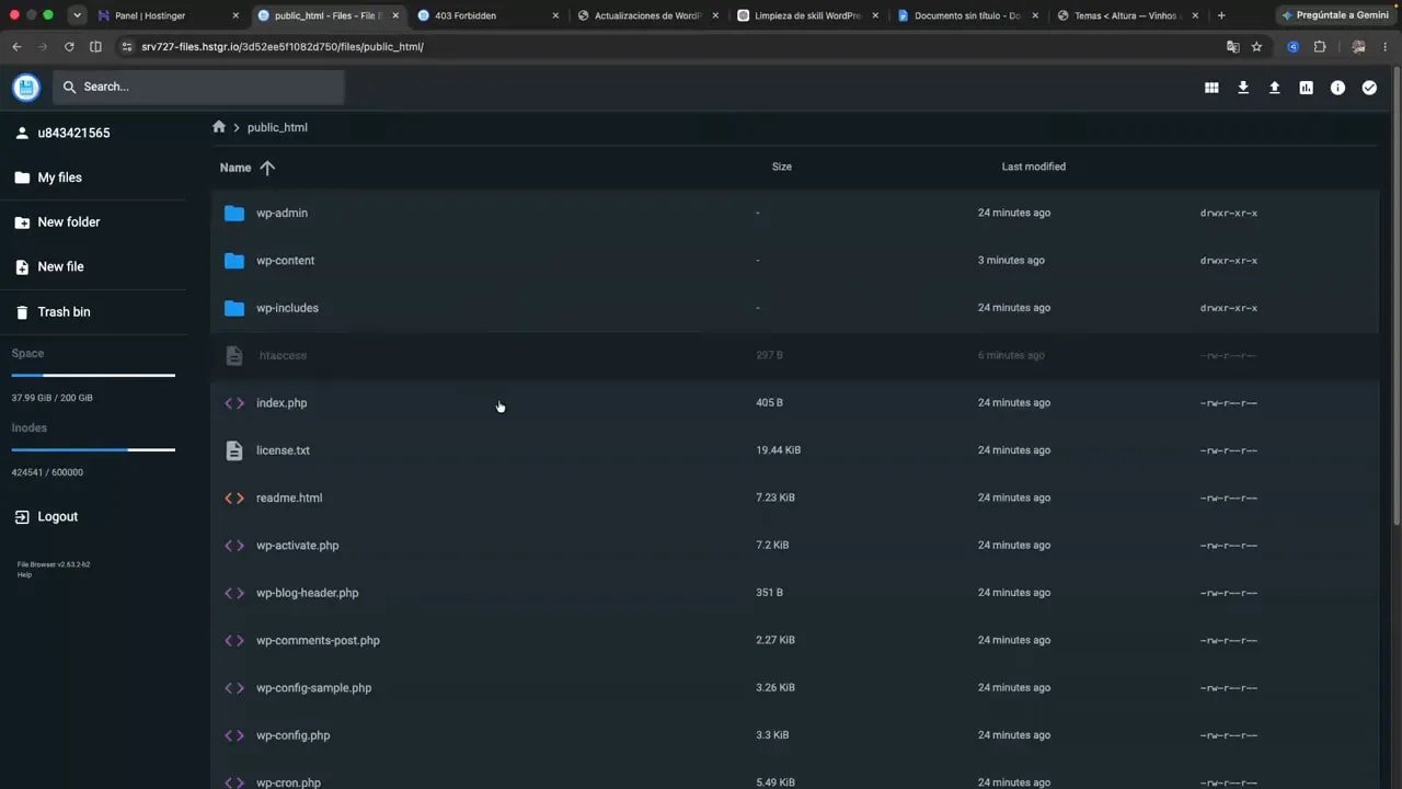 Administrador de archivos mostrando carpetas y archivos del hosting